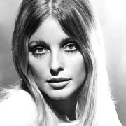 Sharon Tate Height in cm, Meter, Feet and Inches, Age, Bio